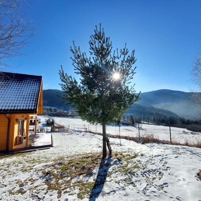 Panorama Sucha Gora ,Lesny Domek Skawica  Bagian luar foto