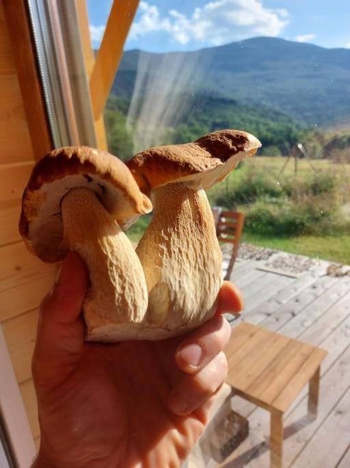 Panorama Sucha Gora ,Lesny Domek Skawica  Bagian luar foto